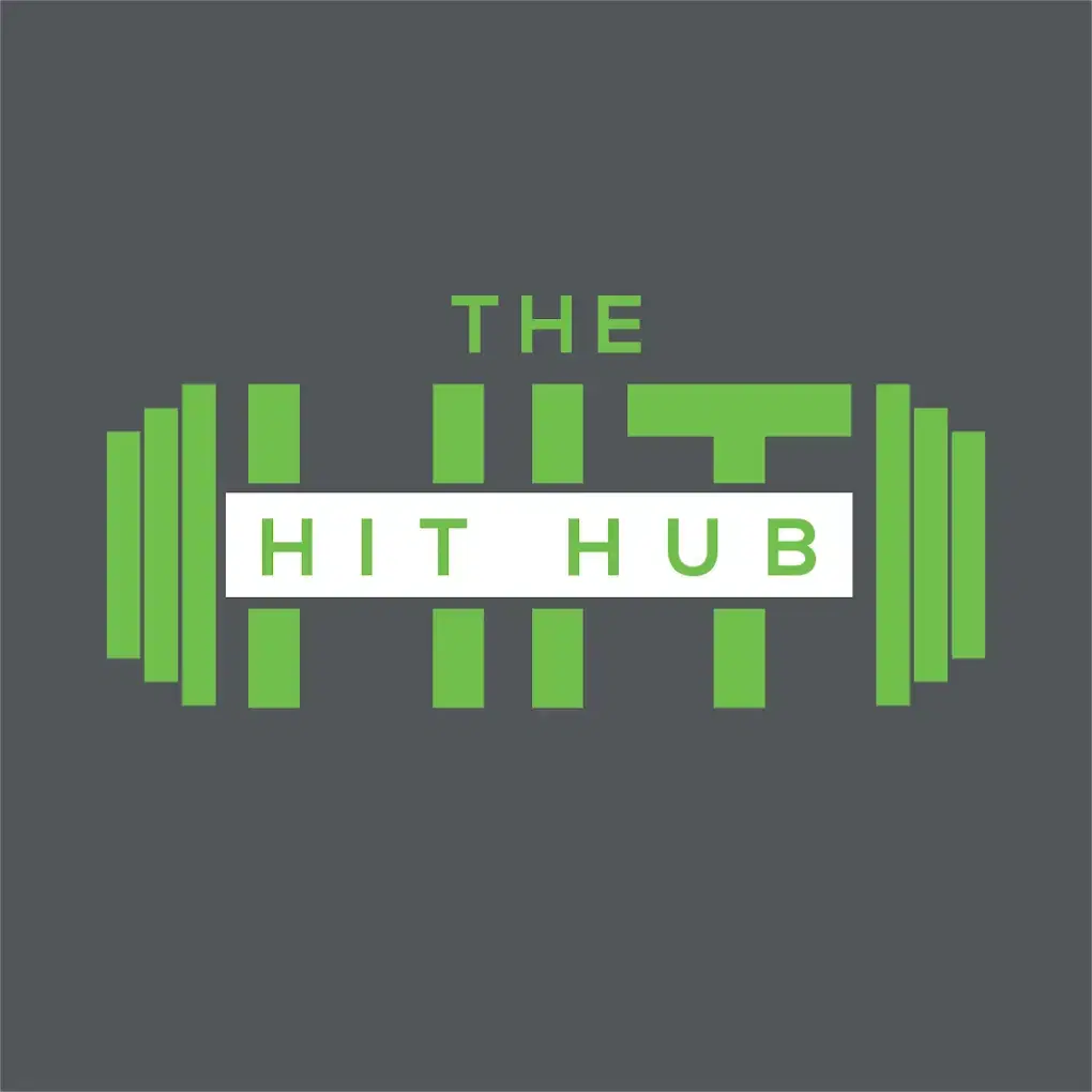 The Hit Hub Logo